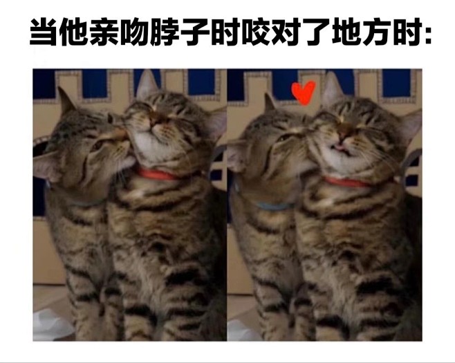 恋爱meme