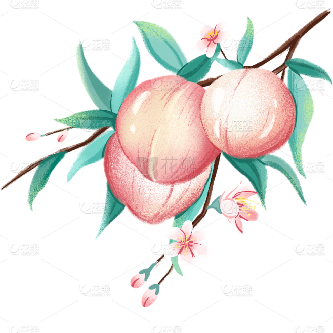 手绘-水果美食元素贴纸-桃子