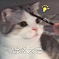 怎么没有人和我说早上好，就因为我还没发微博吗
#表情包# ​​​​
