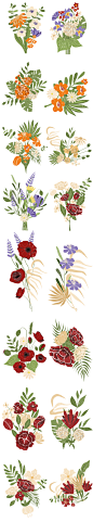 小众手绘清新簇拥花朵植物花卉花束插画素材矢量AI+免扣图PNG
