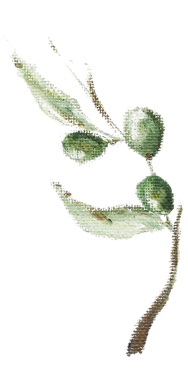 油画植物png (8)