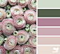 Design Seeds : Design Seeds color palettes ... posted daily for all who love color.