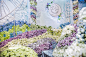 达达婚礼企划-郑州万达文华酒店 Palace Garden-真实婚礼案例-达达婚礼企划作品-喜结网