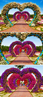 Dubai Miracle Garden! Top 10 Things to do in Dubai!