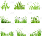 环境,草,绿色,有机食品,季节,草本,图像,植物群,叶子,品牌名称