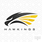 Exclusive Customizable Logo For Sale: Hawk Kings - Hawkings