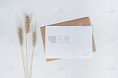 空白白纸在棕色纸信封与大麦干花。模拟水平空白贺卡。顶视图牛皮纸信封上的白色背景。平铺极简风格。