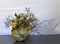img-0695_orig