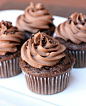 Chocolate Cupcakes with Chocolate Buttercream Frosting