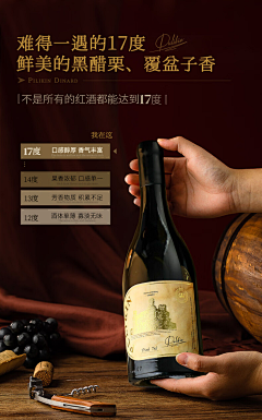 空白格`采集到红酒详情页