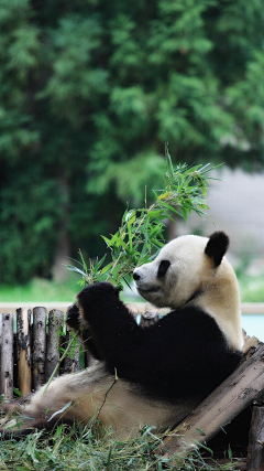 生活么乐趣采集到动物