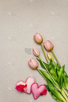 贺卡、墙纸、背景。母亲节快乐，情人节或婚礼快乐。温柔的粉色郁金香，手工制作的心形