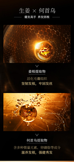 karron一七采集到海报