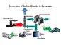 Brilliant Cement Making Technology Mimics Coral While Removing CO2 From the Atmosphere