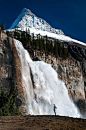 Emperor Falls, Mt Robson Provincial Park, British ... | Waterfalls