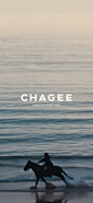 @霸王茶姬CHAGEE 的个人主页 - 微博