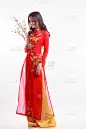 美丽的越南女人与红色敖代抱着樱花