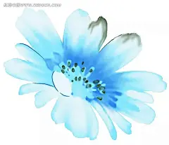 淡蓝色菊花色彩绘画PSD|PSD分层素材|PSD素材|插画|插图|花边|花边素材|花纹|花纹素材|绘画|卡通|漫画|色彩|设计|手绘|水彩|图片|线描|植物
