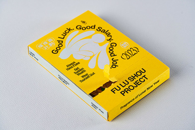 adobe illustrator au...