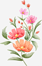 春季盛开的鲜花png免抠素材_新图网 https://ixintu.com 手绘 水彩 花朵 漂亮 装饰 花卉 唯美