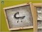 罕见的中国民间艺术 赫哲族鱼皮画╭★肉丁网