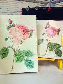 薛景插画采集到水彩教程