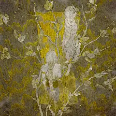 第七届Hiii Illustration国际插画大赛获奖作品欣赏 : 90件获奖作品/6位国际评委/10家权威媒体