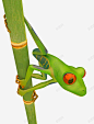 竹子上绿色青蛙树蛙 免费下载 页面网页 平面电商 创意素材