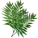 植物素材png