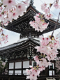 摄影｜日本，细节。
关键词：日式、建筑、和风、东方文化、复古风格、设计参考、配色参考、图案设计、图形、灵感来源。
图源：Pinterest。
圈组织：#艺术哲人##好物99# @艺术哲人 ​​​ ​​​​