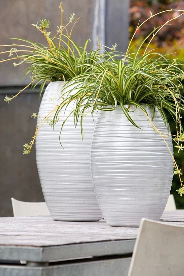 室外花钵花瓶花盆容器陶瓷瓷器陶器