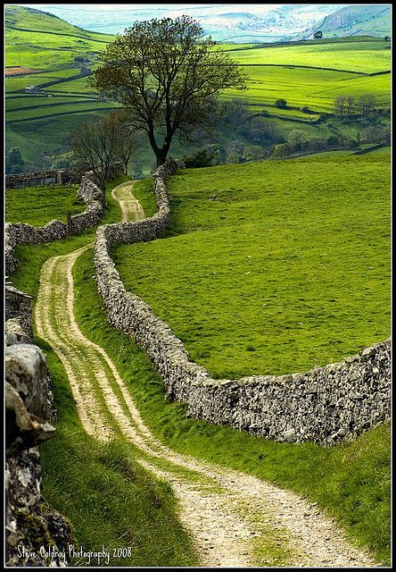 North Yorkshire Dale...