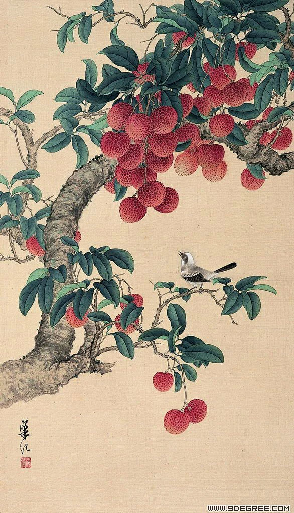 赏名家笔下的荔枝作品-花瓣网