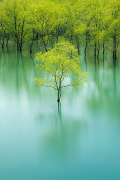 蓝泪§紫光年采集到风景