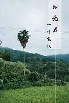 山林食纪之神无月壁纸