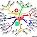思维导图：人的人情——喜、怒、忧、思、悲、恐、惊！
