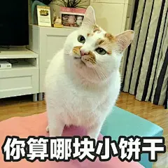 “你不要仗着我喜欢你..”    #表情包#
