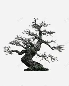 淡绿色简约枯树装饰图案高清素材 免抠PNG 枯树 淡绿色 简约 装饰图案 免抠png 设计图片 免费下载