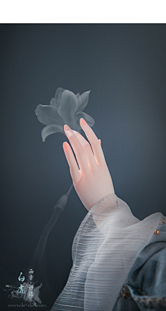 姿势-花瓣网|陪你做生活的设计师 | 漫 玩具 人偶手办 西方白虎—神洛