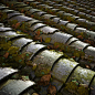 Chinese tiled roof , substance material .