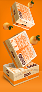 褚橙×潘虎 | 褚老的新树果子——“云冠橙”鲜活上市