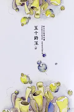 「壁纸推荐」植物水彩艺术插画手机壁纸