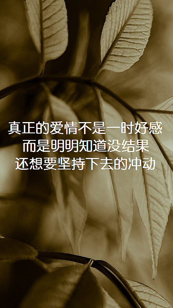 别强迫我在头破血流的时候 还笑着说不痛