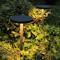 Orr Mushroom Shape Solar Outdoor Bollard Light, L 39/55/79/120CM - L 55CM / Hardwired