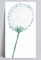 白蓉蒲公英卡通透明装饰素材|白色,免扣素材,透明素材,植物,装饰图案