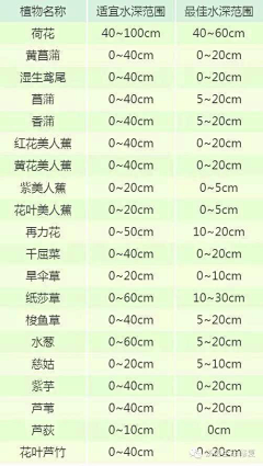 过去11采集到植物设计