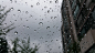 Waterdrops on window