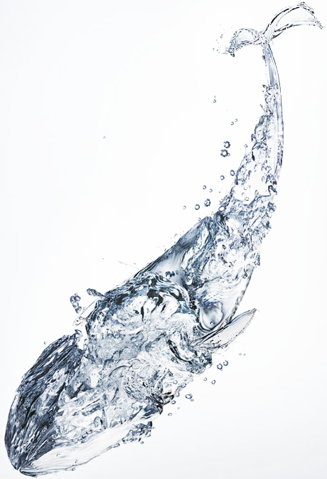高清水做的鲸鱼png