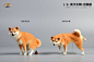 JxK Studio【柴犬 半蹲/抬腿】救命这个也太好玩了哈哈哈哈哈哈哈！心动哈哈哈哈哈！！！！！！【O网页链接】 ​​​​