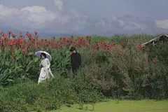 电脑壁纸 - 高清图片，堆糖，美图壁纸兴趣社区
